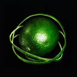 How Could I Have Known Chords by Big Thief