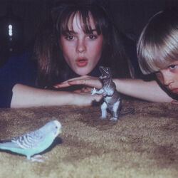 Velvet Ring Tabs by Big Thief