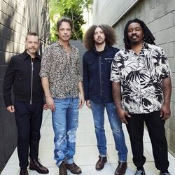 The Fly And The Bowl Ukulele Chords by Big Wreck