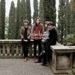 For Rent Chords by Bilderbuch