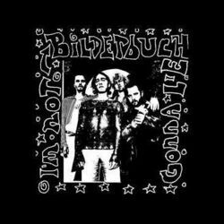 I'm Not Gonna Lie Chords by Bilderbuch