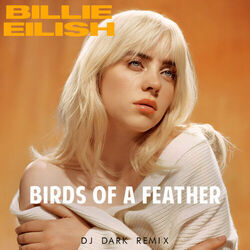 Birds Of A Feather Ukulele Chords by Billie Eilish