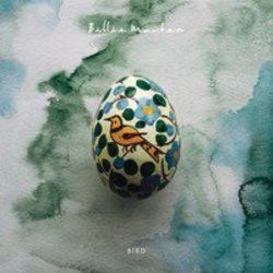Bird Tab by Billie Marten