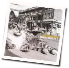 Birds And Ships Tab by Billy Bragg And Wilco