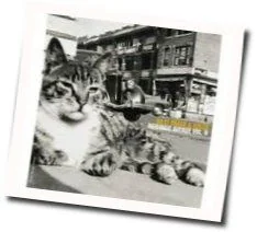 Secret Of The Sea Chords by Billy Bragg And Wilco