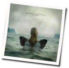 Drowning Butterflies Chords by Bipolar Sunshine