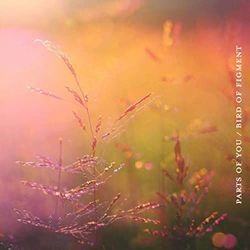 You You You Chords by Bird Of Figment