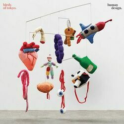 Addison Chords by Birds Of Tokyo