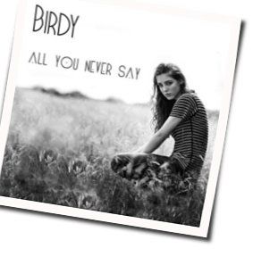 All You Never Say by Birdy