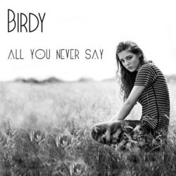 All You Never Say by Birdy