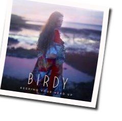 Keeping Your Head Up Chords by Birdy