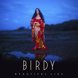 Unbroken Chords by Birdy