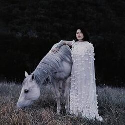Triumph Chords by Bishop Briggs