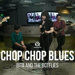 Chop-chop Blues Bass Tab by Bita And The Botflies