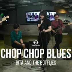 Chop-chop Blues Bass Tab by Bita And The Botflies