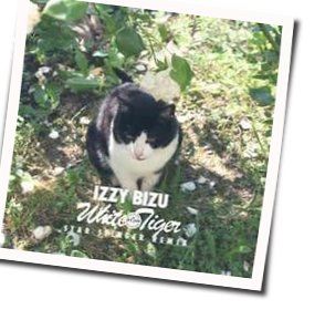 White Tiger  Chords by Izzy Bizu