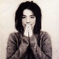 Like Someone In Love Chords by Björk