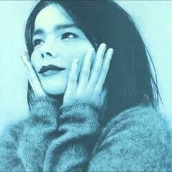 I Remember You by Björk
