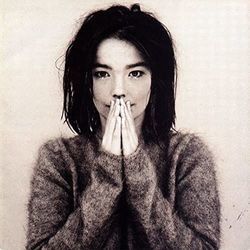 Like Someone In Love Chords by Björk