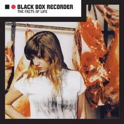Goodnight Kiss Chords by Black Box Recorder