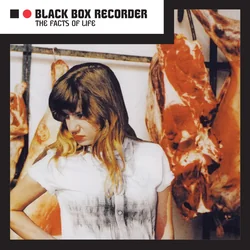 The Deverell Twins Chords by Black Box Recorder