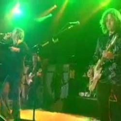 Cypress Tree Chords by The Black Crowes