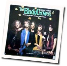 Seeing Things Tab by The Black Crowes