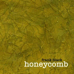 Another Velvet Nightmare Chords by Frank Black