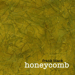 Another Velvet Nightmare Chords by Frank Black