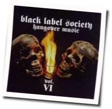 Damage Is Done by Black Label Society