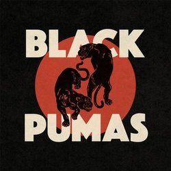 Confines by Black Pumas