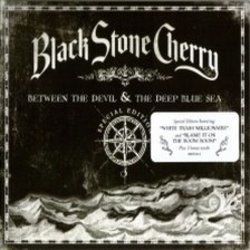 Black Stone Cherry bass tabs for Blame it on the boom boom