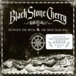 Blame It On The Boom Boom by Black Stone Cherry