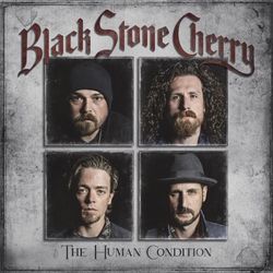 Keep On Keepin On Bass Tab by Black Stone Cherry
