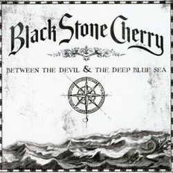 Killing Floor by Black Stone Cherry