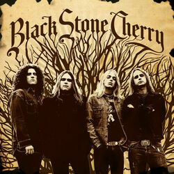 Maybe Someday Chords by Black Stone Cherry