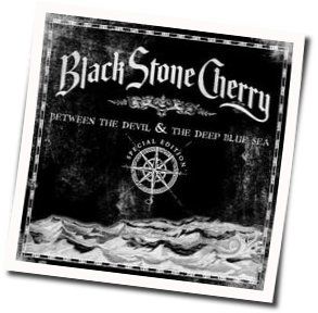 Staring At The Mirror by Black Stone Cherry