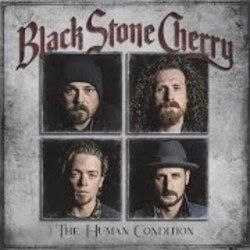 When Angels Learn To Fly Chords by Black Stone Cherry