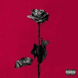 Dirty Laundry Bass Tab by Blackbear