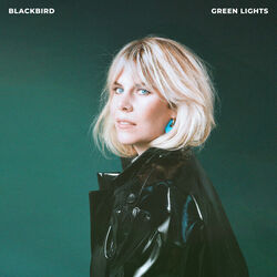Blackbird chords for Green lights