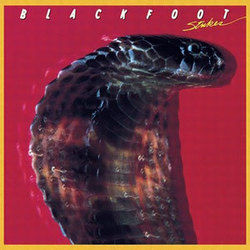 Train Train Tabs by Blackfoot