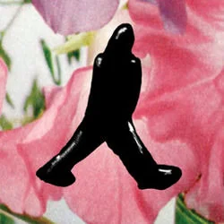 You're Too Precious Tab by James Blake