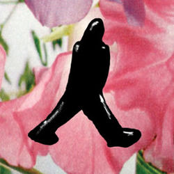 You're Too Precious Tab by James Blake