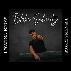 I Wanna Know Chords by Blake Schmitz