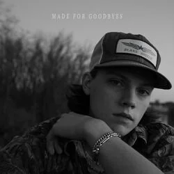 Made For Goodbyes Chords by Blake Whiten