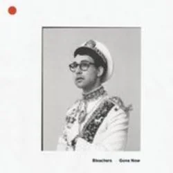 Dream Of Mickey Mantle Chords by Bleachers