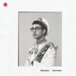 Dream Of Mickey Mantle by Bleachers