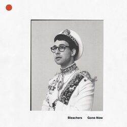 I Miss Those Days by Bleachers