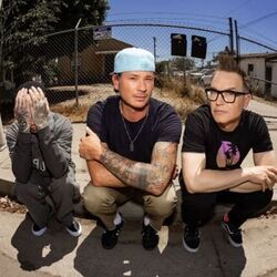 Fell In Love Tab by Blink-182