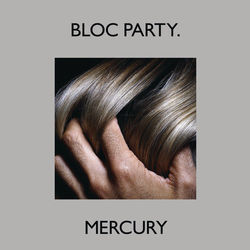 Idea For A Story Chords by Bloc Party